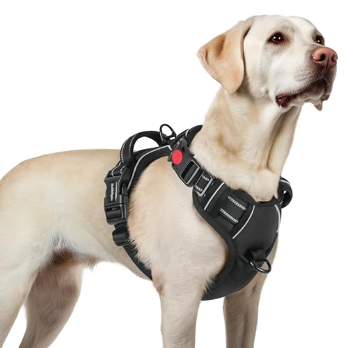 rabbitgoo Hundegeschirr Grosse Hunde, Verstellbare Geschirr Hund ohne Zug & Würgen, Anti Zug hundegeschirr mit Griff, weich Gepolsterte Reflektierende Brustgeschirr, Schwarz L rabbitgoo Hundegeschirr Grosse Hunde, Verstellbare Geschirr Hund ohne Zug & Würgen, Anti Zug hundegeschirr mit Griff, weich Gepolsterte Reflektierende Brustgeschirr, Schwarz L von rabbitgoo