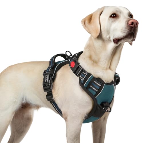 rabbitgoo Hundegeschirr Grosse Hunde, Verstellbare Geschirr Hund ohne Zug & Würgen, Anti Zug Hundegeschirr mit Griff, weich Gepolsterte Reflektierende Brustgeschirr, Beige L rabbitgoo Hundegeschirr Grosse Hunde, Verstellbare Geschirr Hund ohne Zug & Würgen, Anti Zug Hundegeschirr mit Griff, weich Gepolsterte Reflektierende Brustgeschirr, Beige L von rabbitgoo