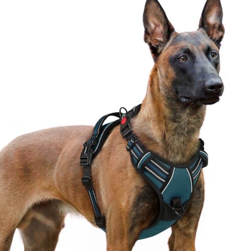 rabbitgoo Hundegeschirr Grosse Hunde, Verstellbare Geschirr Hund ohne Zug & Würgen, Anti Zug hundegeschirr mit Griff, weich Gepolsterte Reflektierende Brustgeschirr, Beige XL von rabbitgoo