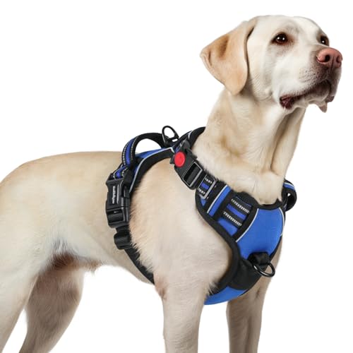 rabbitgoo Hundegeschirr Grosse Hunde, Verstellbare Geschirr Hund ohne Zug & Würgen, Anti Zug hundegeschirr mit Griff, weich Gepolsterte Reflektierende Brustgeschirr, Blau L von rabbitgoo