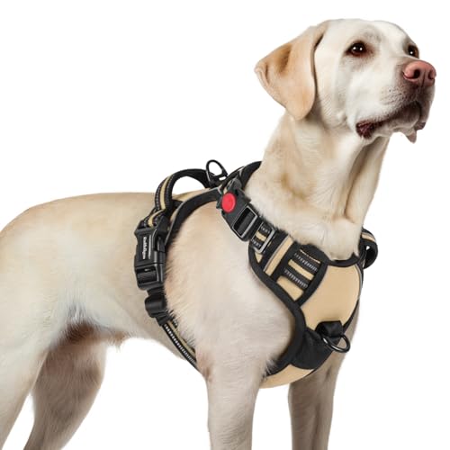 rabbitgoo Hundegeschirr Grosse Hunde, Verstellbare Geschirr Hund ohne Zug & Würgen, Anti Zug Hundegeschirr mit Griff, weich Gepolsterte Reflektierende Brustgeschirr, Dunkelgrün L rabbitgoo Hundegeschirr Grosse Hunde, Verstellbare Geschirr Hund ohne Zug & Würgen, Anti Zug Hundegeschirr mit Griff, weich Gepolsterte Reflektierende Brustgeschirr, Dunkelgrün L von rabbitgoo