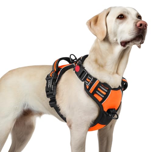 rabbitgoo Hundegeschirr Grosse Hunde, Verstellbare Geschirr Hund ohne Zug & Würgen, Anti Zug hundegeschirr mit Griff, weich Gepolsterte Reflektierende Brustgeschirr, Orange L rabbitgoo Hundegeschirr Grosse Hunde, Verstellbare Geschirr Hund ohne Zug & Würgen, Anti Zug hundegeschirr mit Griff, weich Gepolsterte Reflektierende Brustgeschirr, Orange L von rabbitgoo
