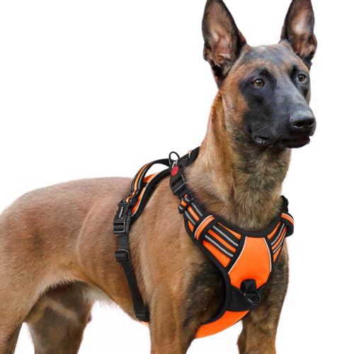 rabbitgoo Hundegeschirr Grosse Hunde, Verstellbare Geschirr Hund ohne Zug & Würgen, Anti Zug hundegeschirr mit Griff, weich Gepolsterte Reflektierende Brustgeschirr, Orange XL rabbitgoo Hundegeschirr Grosse Hunde, Verstellbare Geschirr Hund ohne Zug & Würgen, Anti Zug hundegeschirr mit Griff, weich Gepolsterte Reflektierende Brustgeschirr, Orange XL von rabbitgoo