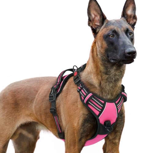 rabbitgoo Hundegeschirr Grosse Hunde, Verstellbare Geschirr Hund ohne Zug & Würgen, Anti Zug hundegeschirr mit Griff, weich Gepolsterte Reflektierende Brustgeschirr, Rosenrot XL von rabbitgoo