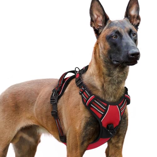 rabbitgoo Hundegeschirr Grosse Hunde, Verstellbare Geschirr Hund ohne Zug & Würgen, Anti Zug hundegeschirr mit Griff, weich Gepolsterte Reflektierende Brustgeschirr, Rot XL rabbitgoo Hundegeschirr Grosse Hunde, Verstellbare Geschirr Hund ohne Zug & Würgen, Anti Zug hundegeschirr mit Griff, weich Gepolsterte Reflektierende Brustgeschirr, Rot XL von rabbitgoo