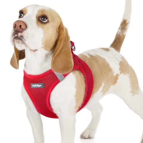 rabbitgoo Hundegeschirr Kleine Hunde, Step-in Welpengeschirr Weich Mesh für Spaziergänge, Atmungsaktives und Reflektierendes Brustgeschirr für Kleine und Mittelgroße Hunde, Rot, M von rabbitgoo