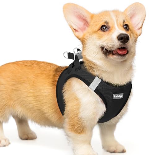 rabbitgoo Hundegeschirr Kleine Hunde, Step-in Welpengeschirr Weich Mesh für Spaziergänge, Atmungsaktives und Reflektierendes Brustgeschirr für Kleine und Mittelgroße Hunde, Schwarz, l von rabbitgoo