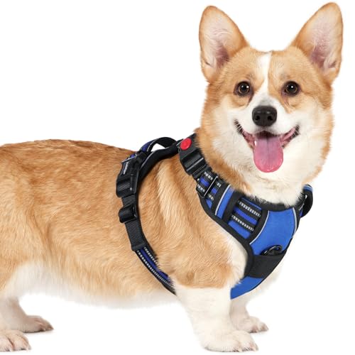 rabbitgoo Hundegeschirr Kleine Hunde, Verstellbare Geschirr Hund ohne Zug & Würgen, Anti Zug hundegeschirr mit Griff, weich Gepolsterte Reflektierende Brustgeschirr, Blau S rabbitgoo Hundegeschirr Kleine Hunde, Verstellbare Geschirr Hund ohne Zug & Würgen, Anti Zug hundegeschirr mit Griff, weich Gepolsterte Reflektierende Brustgeschirr, Blau S von rabbitgoo