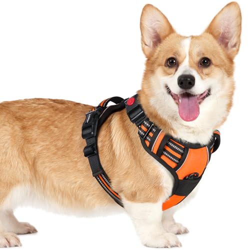 rabbitgoo Hundegeschirr Kleine Hunde, Verstellbare Geschirr Hund ohne Zug & Würgen, Anti Zug hundegeschirr mit Griff, weich Gepolsterte Reflektierende Brustgeschirr, Orange S rabbitgoo Hundegeschirr Kleine Hunde, Verstellbare Geschirr Hund ohne Zug & Würgen, Anti Zug hundegeschirr mit Griff, weich Gepolsterte Reflektierende Brustgeschirr, Orange S von rabbitgoo