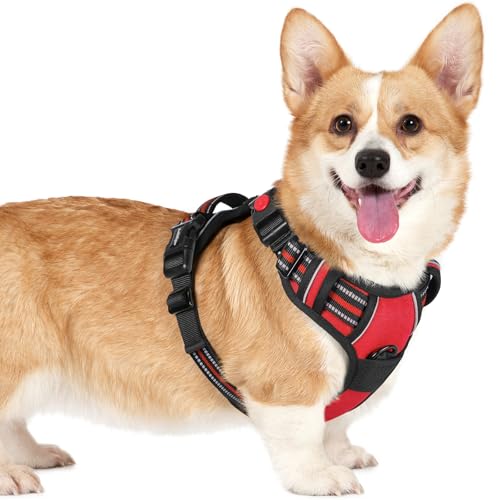 rabbitgoo Hundegeschirr Kleine Hunde, Verstellbare Geschirr Hund ohne Zug & Würgen, Anti Zug hundegeschirr mit Griff, weich Gepolsterte Reflektierende Brustgeschirr, Rot S rabbitgoo Hundegeschirr Kleine Hunde, Verstellbare Geschirr Hund ohne Zug & Würgen, Anti Zug hundegeschirr mit Griff, weich Gepolsterte Reflektierende Brustgeschirr, Rot S von rabbitgoo