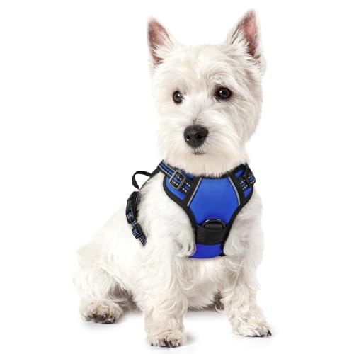 rabbitgoo Hundegeschirr Kleine Hunde, Anti Zug Geschirr mit Kontrolle, No Pull Verstellbar Hundegeschirr Grosse Hunde, Atmungsaktiv Reflexstreifen Brustgeschirr Sichere Führung Blau XS von rabbitgoo