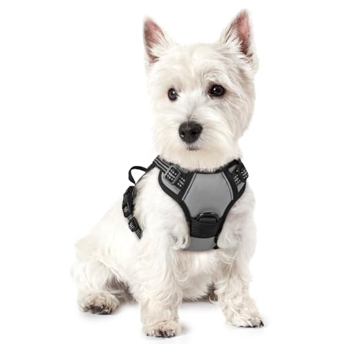 rabbitgoo Hundegeschirr Kleine Hunde, Anti Zug Geschirr mit Kontrolle, No Pull Verstellbar Hundegeschirr Grosse Hunde, Atmungsaktiv Reflexstreifen Brustgeschirr Sichere Führung Grau XS von rabbitgoo