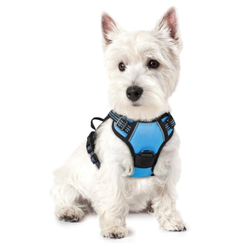 rabbitgoo Hundegeschirr Kleine Hunde, Anti Zug Geschirr mit Kontrolle, No Pull Verstellbar Hundegeschirr Grosse Hunde, Atmungsaktiv Reflexstreifen Brustgeschirr Sichere Führung Hellblau XS von rabbitgoo