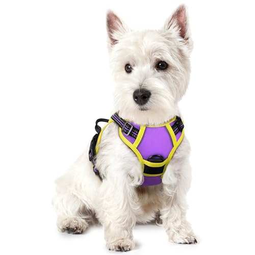 rabbitgoo Hundegeschirr Kleine Hunde Anti Zug Geschirr Hund mit Kontrolle No Pull Verstellbar Hundegeschirr Grosse Hunde Atmungsaktiv Reflexstreifen Brustgeschirr Hund Sichere Führung Lila+Grün XS von rabbitgoo