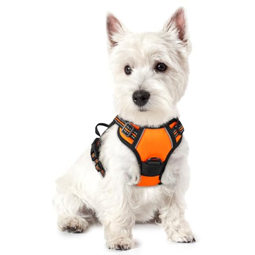 rabbitgoo Hundegeschirr Kleine Hunde Anti Zug Geschirr Hund mit Kontrolle No Pull Verstellbar Hundegeschirr Grosse Hunde Atmungsaktiv Reflexstreifen Brustgeschirr Hund Sichere Führung Orange XS von rabbitgoo