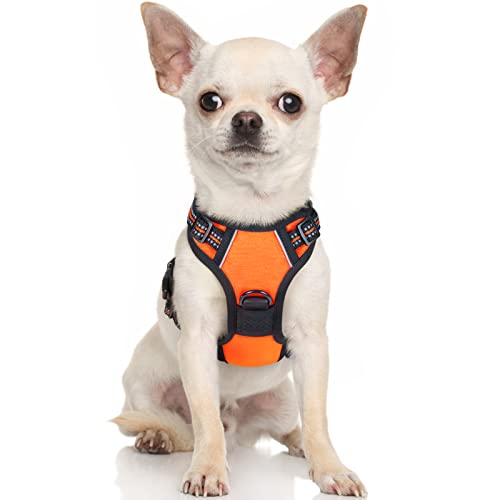 rabbitgoo Hundegeschirr Kleine Hunde Anti Zug Geschirr Hund mit Kontrolle No Pull Verstellbar Hundegeschirr Grosse Hunde Atmungsaktiv Reflexstreifen Brustgeschirr Hund Sichere Führung Orange XS von rabbitgoo