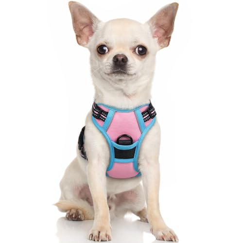 rabbitgoo Hundegeschirr Kleine Hunde, Anti Zug Geschirr mit Kontrolle, No Pull Verstellbar Hundegeschirr Grosse Hunde, Atmungsaktiv Reflexstreifen Brustgeschirr Sichere Führung Rosa+Blau XS rabbitgoo Hundegeschirr Kleine Hunde, Anti Zug Geschirr mit Kontrolle, No Pull Verstellbar Hundegeschirr Grosse Hunde, Atmungsaktiv Reflexstreifen Brustgeschirr Sichere Führung Rosa+Blau XS von rabbitgoo