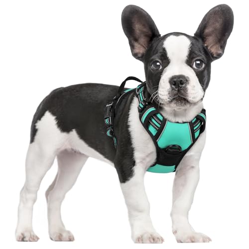 rabbitgoo Hundegeschirr Mittelgroße Hunde, Anti Zug Geschirr mit Kontrolle, No Pull Verstellbar Hundegeschirr Grosse Hunde, Atmungsaktiv Reflexstreifen Brustgeschirr Sichere Führung Grün S rabbitgoo Hundegeschirr Mittelgroße Hunde, Anti Zug Geschirr mit Kontrolle, No Pull Verstellbar Hundegeschirr Grosse Hunde, Atmungsaktiv Reflexstreifen Brustgeschirr Sichere Führung Grün S von rabbitgoo
