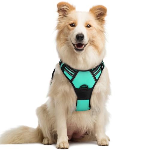 rabbitgoo Hundegeschirr Mittelgroße Hunde, Anti Zug Geschirr mit Kontrolle, No Pull Verstellbar Hundegeschirr Grosse Hunde, Atmungsaktiv Reflexstreifen Brustgeschirr Sichere Führung Grün M rabbitgoo Hundegeschirr Mittelgroße Hunde, Anti Zug Geschirr mit Kontrolle, No Pull Verstellbar Hundegeschirr Grosse Hunde, Atmungsaktiv Reflexstreifen Brustgeschirr Sichere Führung Grün M von rabbitgoo