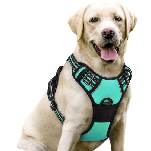 rabbitgoo Hundegeschirr Mittelgroße Hunde, Anti Zug Geschirr mit Kontrolle, No Pull Verstellbar Hundegeschirr Grosse Hunde, Atmungsaktiv Reflexstreifen Brustgeschirr Sichere Führung Grün L rabbitgoo Hundegeschirr Mittelgroße Hunde, Anti Zug Geschirr mit Kontrolle, No Pull Verstellbar Hundegeschirr Grosse Hunde, Atmungsaktiv Reflexstreifen Brustgeschirr Sichere Führung Grün L von rabbitgoo