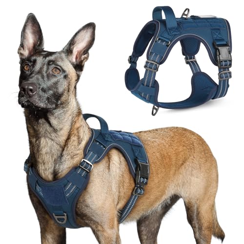 rabbitgoo Hundegeschirr Grosse Hunde, Anti Zug Geschirr Hund Verstellbar mit Griffe Verbreitert, Robust und Verschleißfest, Taktisches Hundegeschirr mit Metallschnallen zum Wandern(L, Blau) von rabbitgoo