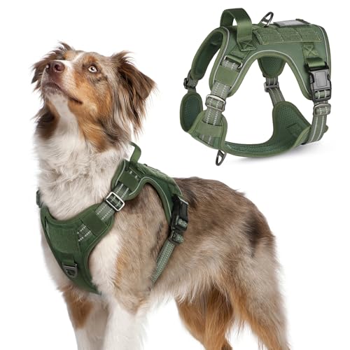 rabbitgoo Hundegeschirr mittelgroße Hunde, Anti Zug Geschirr Hund Verstellbar mit Griffe Verbreitert, Robust und Verschleißfest, Taktisches Hundegeschirr mit Metallschnallen zum Wandern(M, Grün) von rabbitgoo