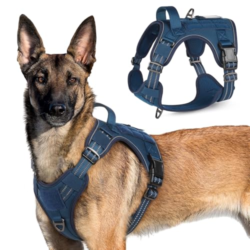 rabbitgoo Hundegeschirr Grosse Hunde, Anti Zug Geschirr Hund Verstellbar mit Griffe Verbreitert, Robust und Verschleißfest, Taktisches Hundegeschirr mit Metallschnallen zum Wandern(XL, Blau) von rabbitgoo