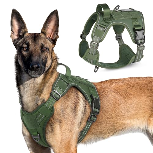 rabbitgoo Hundegeschirr Grosse Hunde, Anti Zug Geschirr Hund Verstellbar mit Griffe Verbreitert, Robust und Verschleißfest, Taktisches Hundegeschirr mit Metallschnallen zum Wandern(XL, Grün) von rabbitgoo