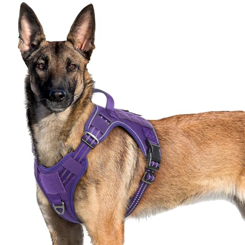 rabbitgoo Hundegeschirr Grosse Hunde, Anti Zug Geschirr Hund Verstellbar mit Griffe Verbreitert, Robust und Verschleißfest, Taktisches Hundegeschirr mit Metallschnallen zum Wandern(XL, Lila) von rabbitgoo