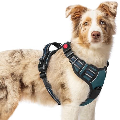 rabbitgoo Hundegeschirr Mittelgroße Hunde, Verstellbare Geschirr Hund ohne Zug & Würgen, Anti Zug hundegeschirr mit Griff, weich Gepolsterte Reflektierende Brustgeschirr, Beige M rabbitgoo Hundegeschirr Mittelgroße Hunde, Verstellbare Geschirr Hund ohne Zug & Würgen, Anti Zug hundegeschirr mit Griff, weich Gepolsterte Reflektierende Brustgeschirr, Beige M von rabbitgoo