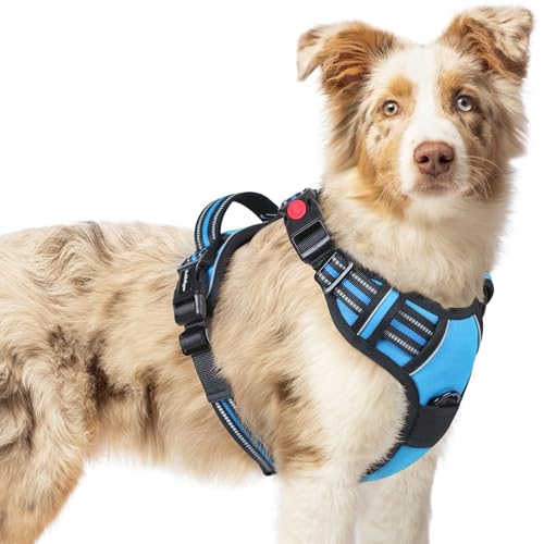 rabbitgoo Hundegeschirr Mittelgroße Hunde, Verstellbare Geschirr Hund ohne Zug & Würgen, Anti Zug hundegeschirr mit Griff, weich Gepolsterte Reflektierende Brustgeschirr, Hellblau M von rabbitgoo