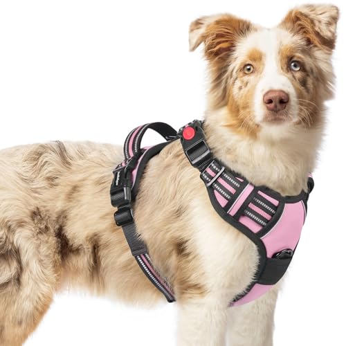 rabbitgoo Hundegeschirr Mittelgroße Hunde, Verstellbare Geschirr Hund ohne Zug & Würgen, Anti Zug hundegeschirr mit Griff, weich Gepolsterte Reflektierende Brustgeschirr, Rosa M rabbitgoo Hundegeschirr Mittelgroße Hunde, Verstellbare Geschirr Hund ohne Zug & Würgen, Anti Zug hundegeschirr mit Griff, weich Gepolsterte Reflektierende Brustgeschirr, Rosa M von rabbitgoo