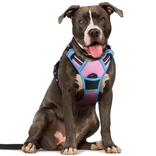 rabbitgoo Hundegeschirr Mittelgroße Hunde Anti Zug Geschirr Hund mit Kontrolle No Pull Verstellbar Hundegeschirr Grosse Hunde Atmungsaktiv Reflexstreifen Brustgeschirr Hund Sichere Führung Rosa+Blau L von rabbitgoo