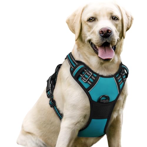 rabbitgoo Hundegeschirr Mittelgroße Hunde, Anti Zug Geschirr mit Kontrolle, No Pull Verstellbar Hundegeschirr Grosse Hunde, Atmungsaktiv Reflexstreifen Brustgeschirr Sichere Führung Blaugrün L von rabbitgoo