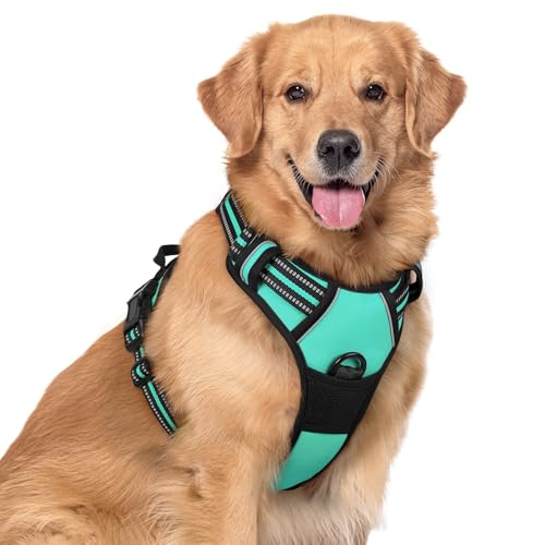 rabbitgoo Hundegeschirr Mittelgroße Hunde, Anti Zug Geschirr mit Kontrolle, No Pull Verstellbar Hundegeschirr Grosse Hunde, Atmungsaktiv Reflexstreifen Brustgeschirr Sichere Führung Grün XL von rabbitgoo