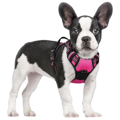 rabbitgoo Hundegeschirr Mittelgroße Hunde, Anti Zug Geschirr mit Kontrolle, No Pull Verstellbar Hundegeschirr Grosse Hunde, Atmungsaktiv Reflexstreifen Brustgeschirr Sichere Führung Rosarot S von rabbitgoo