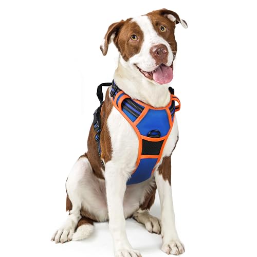 rabbitgoo Hundegeschirr Mittelgroße Hunde Anti Zug Geschirr Hund mit Kontrolle No Pull Verstellbar Hundegeschirr Grosse Hunde Atmungsaktiv Reflexstreifen Brustgeschirr Sichere Führung Blau+Orange L von rabbitgoo