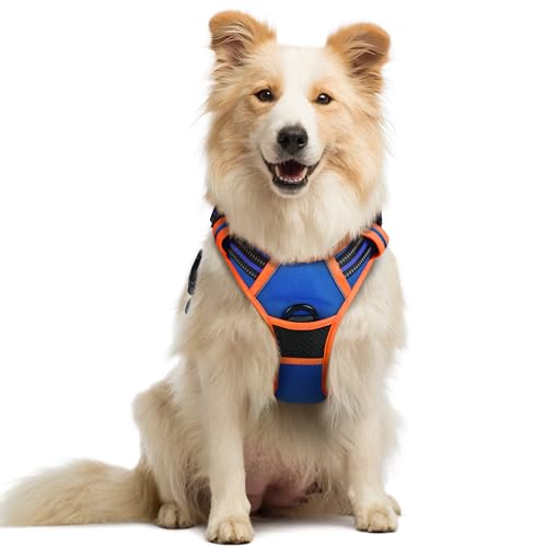 rabbitgoo Hundegeschirr Mittelgroße Hunde Anti Zug Geschirr Hund mit Kontrolle No Pull Verstellbar Hundegeschirr Grosse Hunde Atmungsaktiv Reflexstreifen Brustgeschirr Sichere Führung Blau+Orange M rabbitgoo Hundegeschirr Mittelgroße Hunde Anti Zug Geschirr Hund mit Kontrolle No Pull Verstellbar Hundegeschirr Grosse Hunde Atmungsaktiv Reflexstreifen Brustgeschirr Sichere Führung Blau+Orange M von rabbitgoo