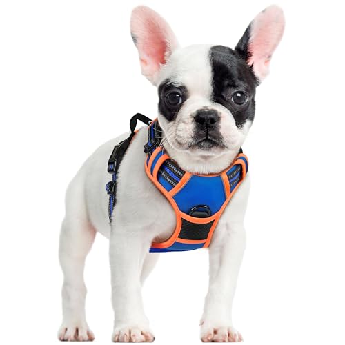rabbitgoo Hundegeschirr Mittelgroße Hunde Anti Zug Geschirr Hund mit Kontrolle No Pull Verstellbar Hundegeschirr Grosse Hunde Atmungsaktiv Reflexstreifen Brustgeschirr Sichere Führung Blau+Orange S von rabbitgoo