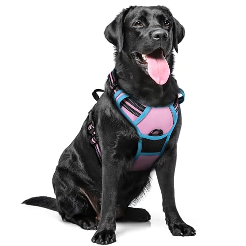 rabbitgoo Hundegeschirr Mittelgroße Hunde, Anti Zug Geschirr mit Kontrolle, No Pull Verstellbar Hundegeschirr Grosse Hunde, Atmungsaktiv Reflexstreifen Brustgeschirr Sichere Führung Rosa+Blau XL rabbitgoo Hundegeschirr Mittelgroße Hunde, Anti Zug Geschirr mit Kontrolle, No Pull Verstellbar Hundegeschirr Grosse Hunde, Atmungsaktiv Reflexstreifen Brustgeschirr Sichere Führung Rosa+Blau XL von rabbitgoo
