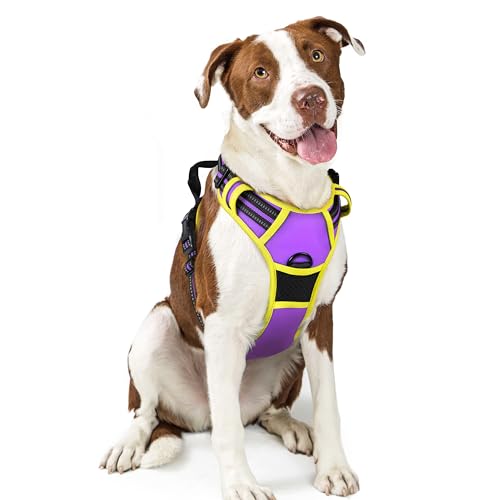 rabbitgoo Hundegeschirr Mittelgroße Hunde Anti Zug Geschirr Hund mit Kontrolle No Pull Verstellbar Hundegeschirr Grosse Hunde Atmungsaktiv Reflexstreifen Brustgeschirr Sichere Führung Lila+Grün L von rabbitgoo