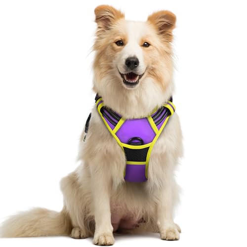 rabbitgoo Hundegeschirr Mittelgroße Hunde Anti Zug Geschirr Hund mit Kontrolle No Pull Verstellbar Hundegeschirr Grosse Hunde Atmungsaktiv Reflexstreifen Brustgeschirr Sichere Führung Lila+Grün M von rabbitgoo