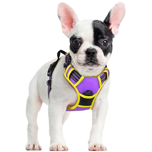 rabbitgoo Hundegeschirr Mittelgroße Hunde Anti Zug Geschirr Hund mit Kontrolle No Pull Verstellbar Hundegeschirr Grosse Hunde Atmungsaktiv Reflexstreifen Brustgeschirr Sichere Führung Lila+Grün S von rabbitgoo