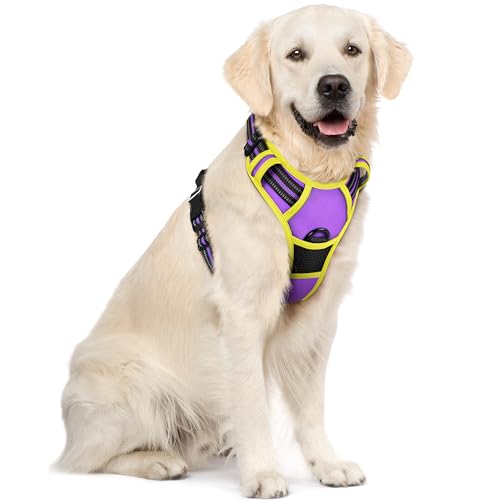 rabbitgoo Hundegeschirr Mittelgroße Hunde Anti Zug Geschirr Hund mit Kontrolle No Pull Verstellbar Hundegeschirr Grosse Hunde Atmungsaktiv Reflexstreifen Brustgeschirr Sichere Führung Lila+Grün XL von rabbitgoo