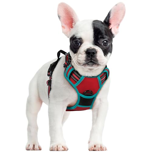 rabbitgoo Hundegeschirr Mittelgroße Hunde, Anti Zug Geschirr mit Kontrolle, No Pull Verstellbar Hundegeschirr Grosse Hunde, Atmungsaktiv Reflexstreifen Brustgeschirr Sichere Führung Rot+Blaugrün S rabbitgoo Hundegeschirr Mittelgroße Hunde, Anti Zug Geschirr mit Kontrolle, No Pull Verstellbar Hundegeschirr Grosse Hunde, Atmungsaktiv Reflexstreifen Brustgeschirr Sichere Führung Rot+Blaugrün S von rabbitgoo