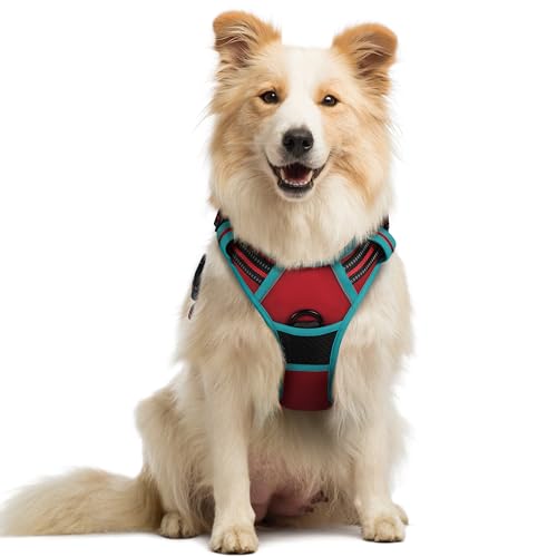 rabbitgoo Hundegeschirr Mittelgroße Hunde, Anti Zug Geschirr mit Kontrolle, No Pull Verstellbar Hundegeschirr Grosse Hunde, Atmungsaktiv Reflexstreifen Brustgeschirr Sichere Führung Rot+Blaugrün M rabbitgoo Hundegeschirr Mittelgroße Hunde, Anti Zug Geschirr mit Kontrolle, No Pull Verstellbar Hundegeschirr Grosse Hunde, Atmungsaktiv Reflexstreifen Brustgeschirr Sichere Führung Rot+Blaugrün M von rabbitgoo