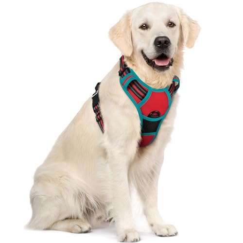 rabbitgoo Hundegeschirr Mittelgroße Hunde, Anti Zug Geschirr mit Kontrolle, No Pull Verstellbar Hundegeschirr Grosse Hunde, Atmungsaktiv Reflexstreifen Brustgeschirr Sichere Führung Rot+Blaugrün XL von rabbitgoo