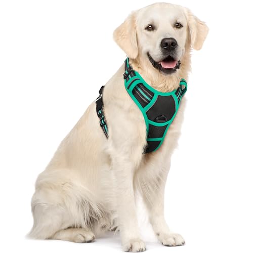 rabbitgoo Hundegeschirr Mittelgroße Hunde, Anti Zug Geschirr mit Kontrolle, No Pull Verstellbar Hundegeschirr Grosse Hunde, Atmungsaktiv Reflexstreifen Brustgeschirr Sichere Führung Schwarz+Grün XL rabbitgoo Hundegeschirr Mittelgroße Hunde, Anti Zug Geschirr mit Kontrolle, No Pull Verstellbar Hundegeschirr Grosse Hunde, Atmungsaktiv Reflexstreifen Brustgeschirr Sichere Führung Schwarz+Grün XL von rabbitgoo