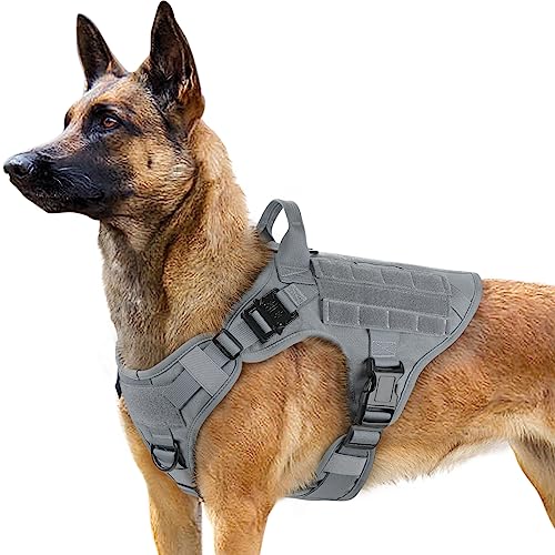 rabbitgoo No Pull Hundegeschirr Mittlere Grosse Hunde, Taktische Brustgeschirr mit MOLLE Griff Metallschnallen, Atmungsaktiv Militär Sicherheitsgeschirr, Verstellbares Gepolstert Hundeweste, M Grau von rabbitgoo