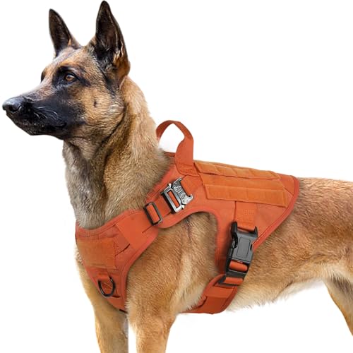 rabbitgoo No Pull Hundegeschirr Mittlere Grosse Hunde, Taktische Brustgeschirr mit MOLLE Griff Metallschnallen, Atmungsaktiv Militär Sicherheitsgeschirr, Verstellbares Gepolstert Hundeweste, M Orange von rabbitgoo